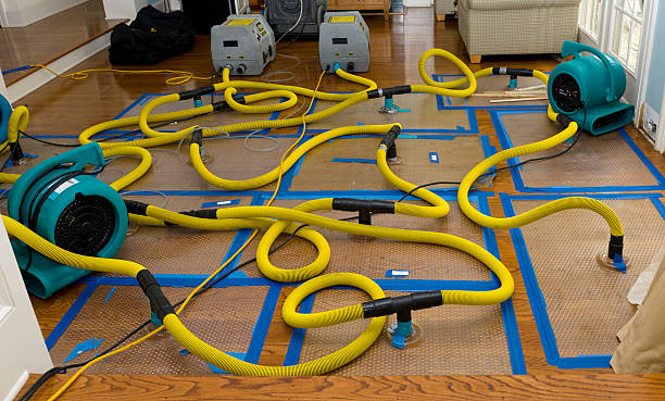Professional Burst Pipe Water Damage technician working in Hoytville, OH