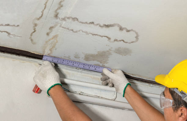 Affordable Water Damage Repair solutions in Hoytville, OH